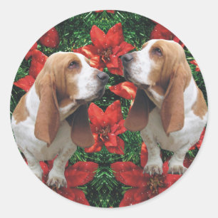 Pegatina Redonda Navidad del Poinsettia de Basset Hound