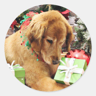 Pegatina Redonda Navidad - golden retriever - Addison