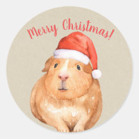 Navidad Hámster Conejillo de Indias País Fiesta