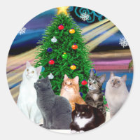 Navidad Magia - Seis gatos (variedad)