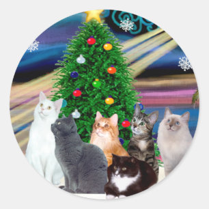 Pegatina Redonda Navidad Magia - Seis gatos (variedad)