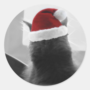 Pegatina Redonda Navidades Adorables Kitten
