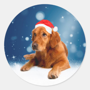 Pegatina Redonda Navidades adoran la nieve del perro de Santa Hat