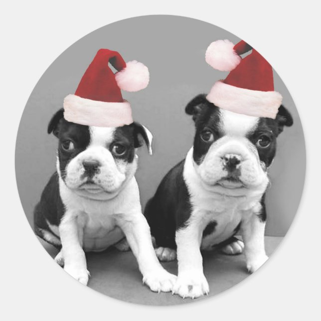 Pegatina Redonda Navidades Boston Terriers (Anverso)