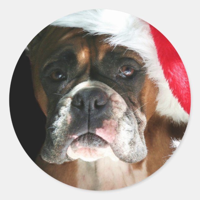 Pegatina Redonda Navidades Boxer Dog pegatinas (Anverso)