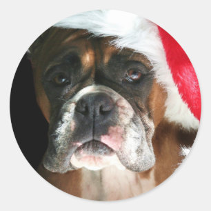 Pegatina Redonda Navidades Boxer Dog pegatinas