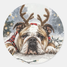 Navidades Bulldog inglés reno