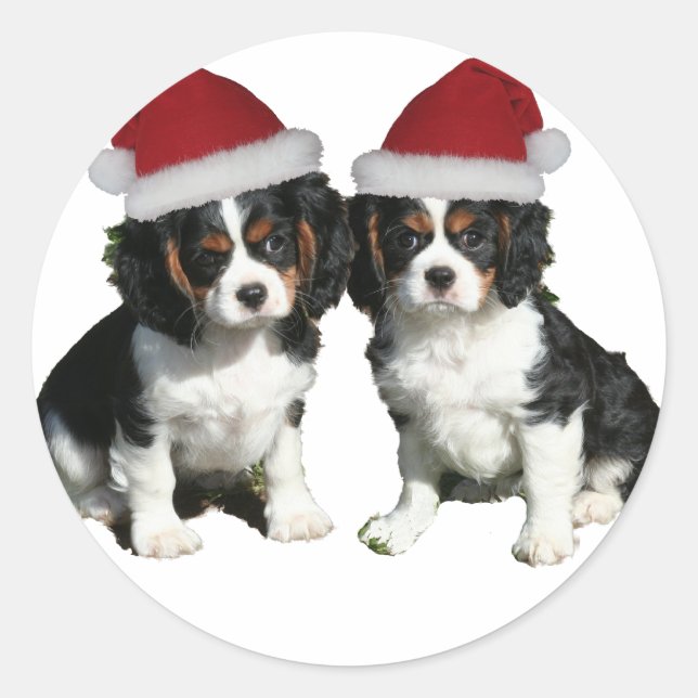 Pegatina Redonda Navidades Cavaliers (Anverso)