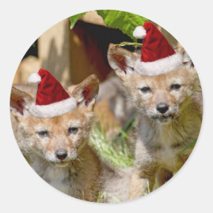 Pegatina Redonda Navidades Coyote Pups