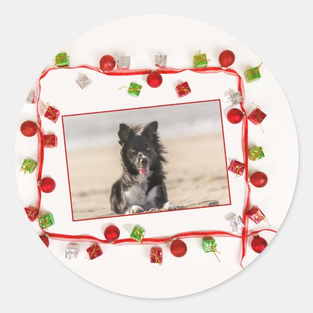Pegatina Redonda Navidades de Border Collie (Anverso)