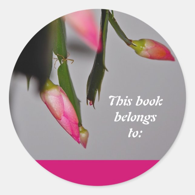 Pegatina Redonda Navidades de cactus de flores florecen (Anverso)