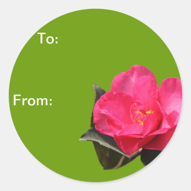 Pegatina Redonda navidades de flores de camelia rosa envuelven a pe (Anverso)