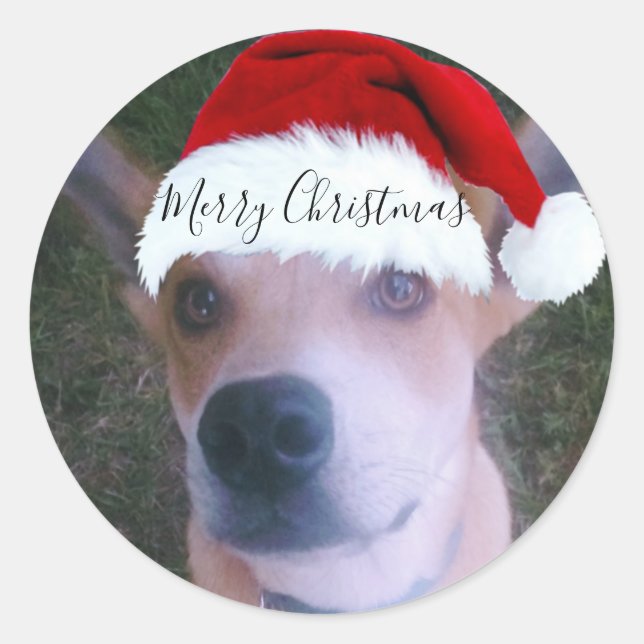 Pegatina Redonda Navidades de fotografía de perro personalizado (Anverso)