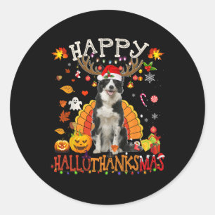 Pegatina Redonda Navidades de Frontera Collie Halloween Perro Happy