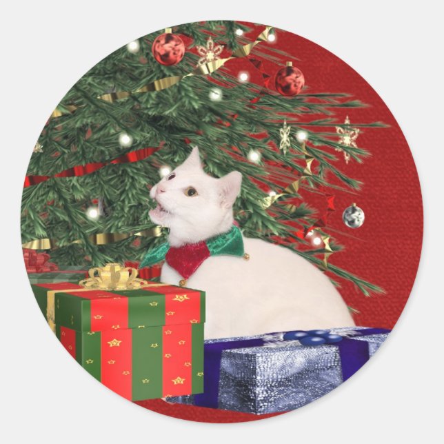 Pegatina Redonda navidades de gatitos blancos (Anverso)