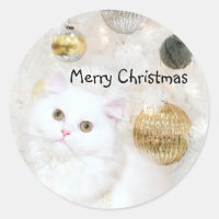 Navidades de gatitos de raza blanca