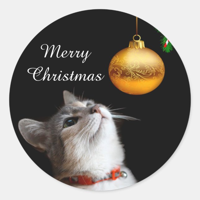 Pegatina Redonda Navidades de gatitos vacilantes (Anverso)