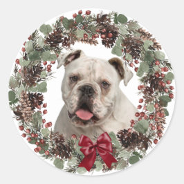 Pegatina Redonda Navidades de guirnaldas de Pinecone, Bulldog blanc
