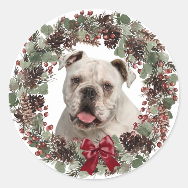 Pegatina Redonda Navidades de guirnaldas de Pinecone, Bulldog blanc (Anverso)