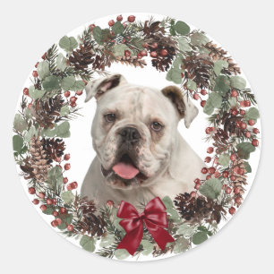Pegatina Redonda Navidades de guirnaldas de Pinecone, Bulldog blanc