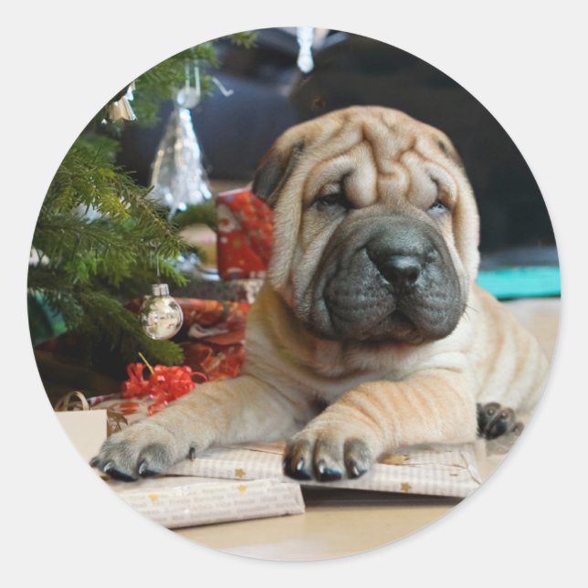 Pegatina Redonda Navidades de Shar Pei (Anverso)