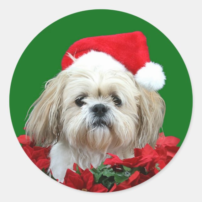 Pegatina Redonda Navidades de Shih Tzu (Anverso)