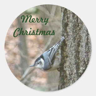 Pegatina Redonda Navidades de Slate Gray Nuthatch Navidades de páj