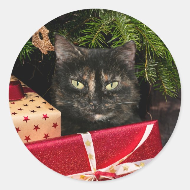 Pegatina Redonda Navidades del gato Tortoiseshell (Anverso)