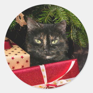 Pegatina Redonda Navidades del gato Tortoiseshell