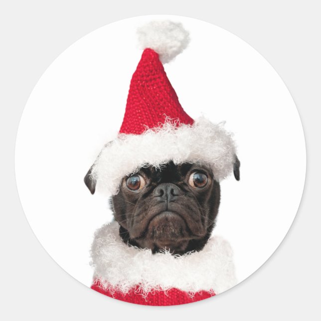 Pegatina Redonda Navidades festivos deliciosos Black Pug Puppy Sant (Anverso)