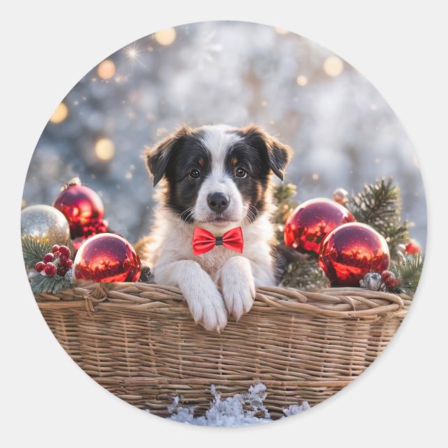 Pegatina Redonda Navidades Holiday Border Collie Puppy (Anverso)