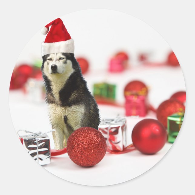Pegatina Redonda Navidades Husky siberianos con una caja de regalo  (Anverso)