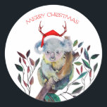 Pegatina Redonda Navidades Koala usando Santa Hat<br><div class="desc">"Feliz Navidad" Texto de bienvenida. Navidades coloridos dibujados a mano koala usando un sombrero de Santa y sentados en un árbol de goma. El Koala es un nativo de Australia.</div>