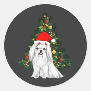 Pegatina Redonda Navidades malteses, Navidad Perro maltés con sombr