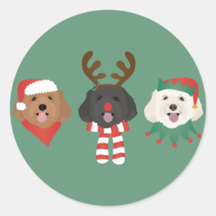 Pegatina Redonda Navidades Maltipoo Dogs