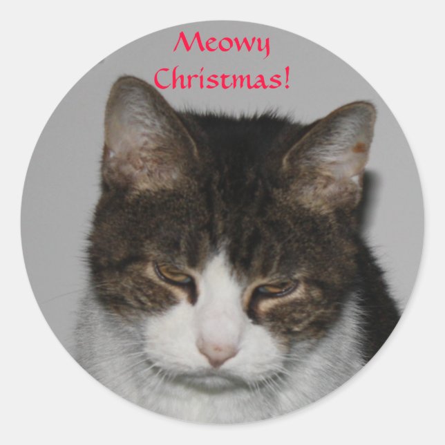 Pegatina Redonda ¡Navidades Meowy! -Pegatinas de saludos de feriado (Anverso)