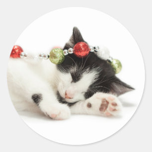 Pegatina Redonda Navidades Morning Kitten