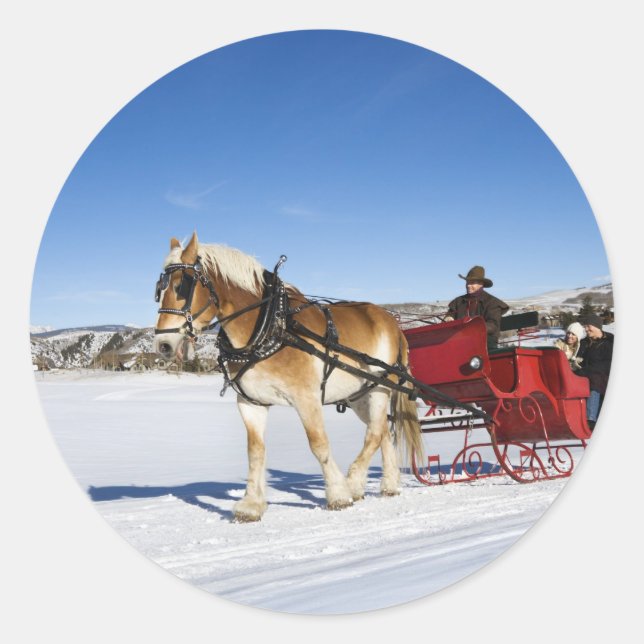 Pegatina Redonda Navidades occidentales - Navidades de caballos Sle (Anverso)