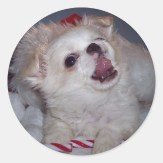 Pegatina Redonda Navidades Pegatinas de Cachorros