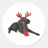 Navidades Perro de juguete negro vestido de reno
