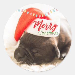 Pegatina Redonda Navidades se pug en Santa Hat con luces Navidades