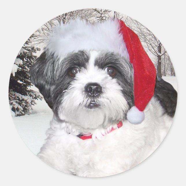 Pegatina Redonda Navidades Shih Tzu (Anverso)