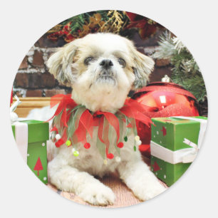 Pegatina Redonda Navidades - Shih Tzu - Bailey