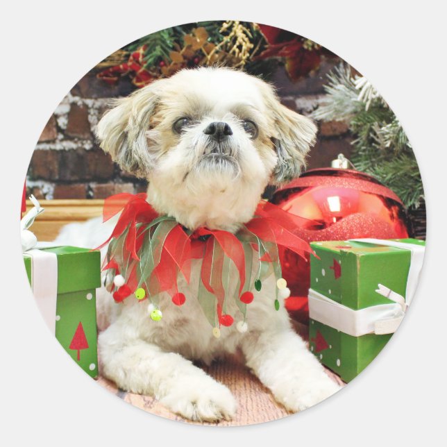 Pegatina Redonda Navidades - Shih Tzu - Bailey (Anverso)