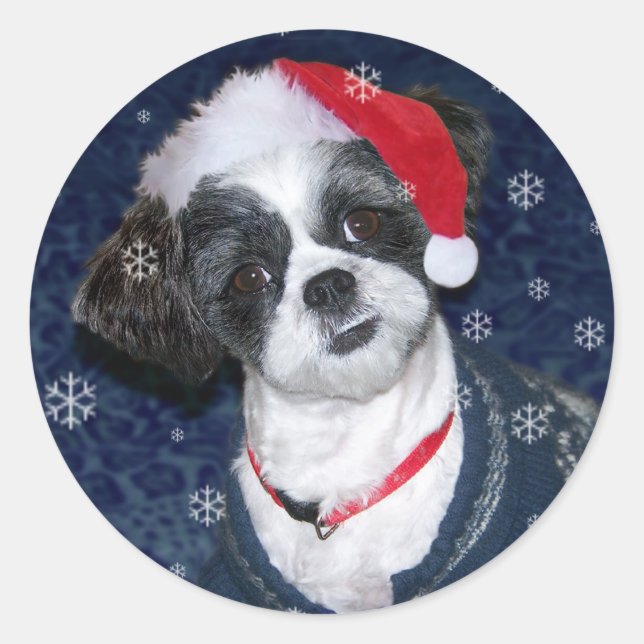 Pegatina Redonda Navidades Shih Tzu Dog (Anverso)