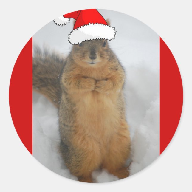 Pegatina Redonda Navidades Squirrels (Anverso)