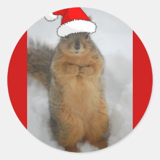 Pegatina Redonda Navidades Squirrels