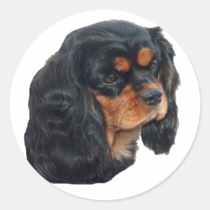 Pegatina Redonda Negro y Tan