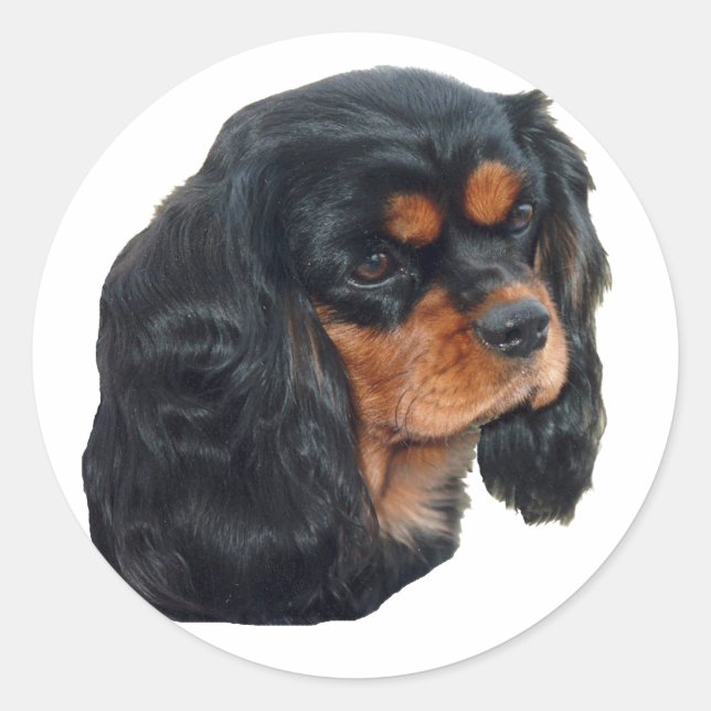 Pegatina Redonda Negro y Tan (Anverso)