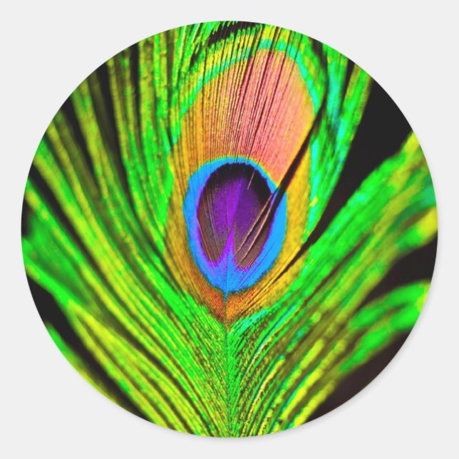 Pegatina Redonda Neon Colors Peacock Feather (Anverso)
